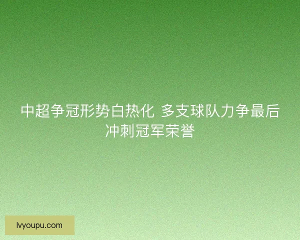 中超争冠形势白热化 多支球队力争最后冲刺冠军荣誉